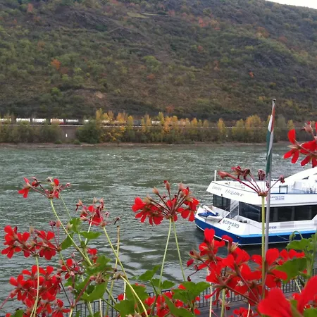 Отель Rheinlust 3*