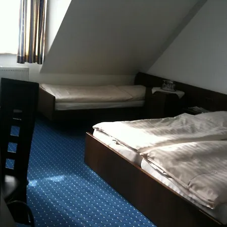 Отель Rheinlust 3*