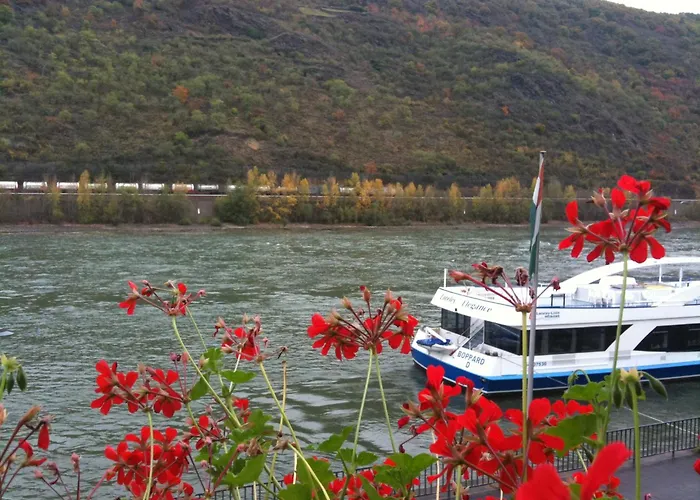 Szálloda Rheinlust 3*